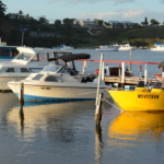 Godfrey Pontoon Boat